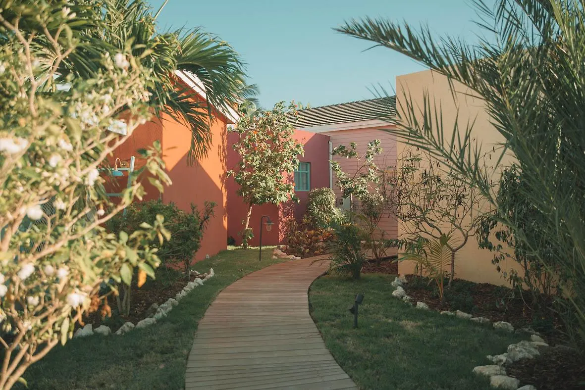 ****  Boardwalk Boutique Hotel Aruba - Adults Only 팜비치 아루바